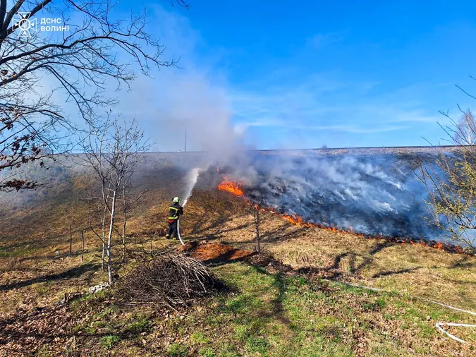 Гектари територій палають у вогні: на Волині за добу – 10 пожеж (фото)