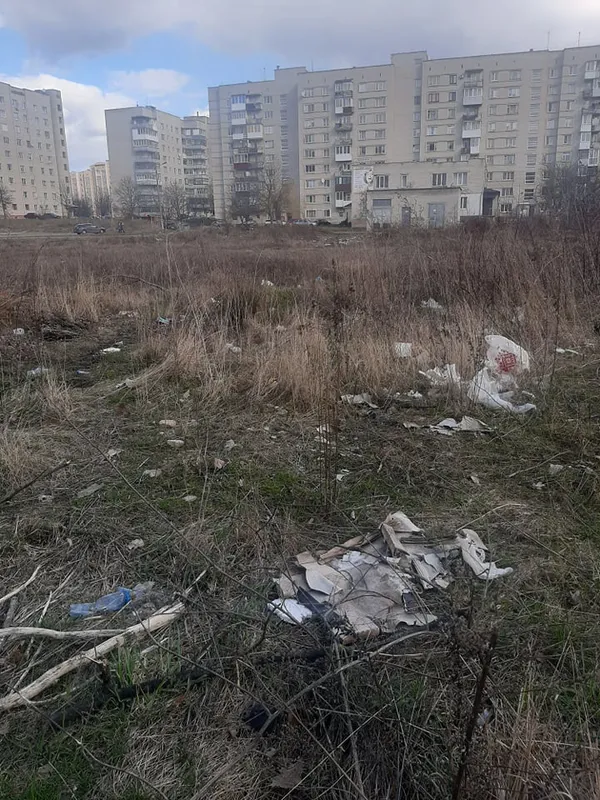 Не моє сміття, але моя планета: луцька школярка започаткувала корисний челендж (фото)