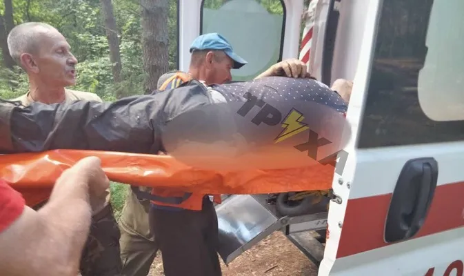 Численні травми: у Ковельському районі на чоловіка впало дерево