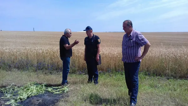 У Підгайцях палії трави ледь не спалили 87 гектарів пшениці (фото)