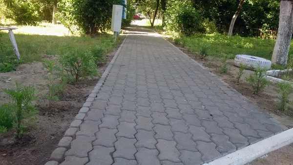 Вулиці Луцька облаштували пішохідними доріжками (фото)
