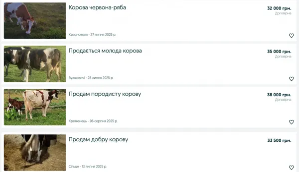 Скільки на Волині коштують корови, поросята, коні та кролі
