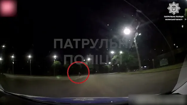 У Луцьку патрульні відловлюють «безсмертних» пішоходів (відео)
