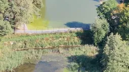 Перегородили річку й обмежили доступ до води: у Луцькому районі виявили незаконну дамбу (фото)