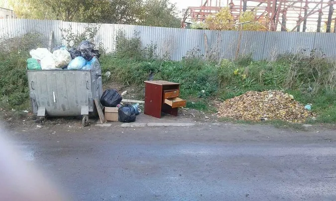 Лучан каратимуть за гілля та будівельні відходи у сміттєвих контейнерах (фото)