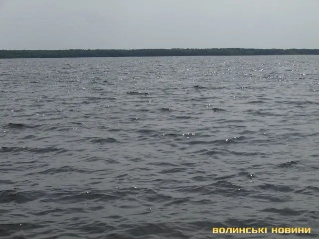 Пів сотні – за качан кукурудзи, 1000 гривень – за кілограм вугра: туристи в шоці від цін на Світязі (фото)