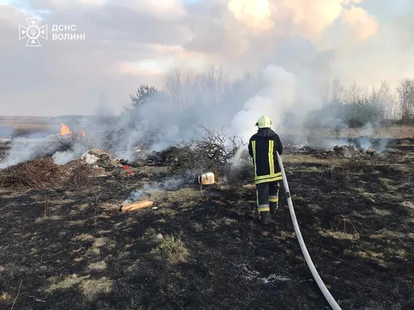 Палало по всій Волині: рятувальники гасили масштабні пожежі сухостою (фото)