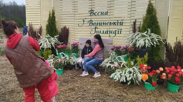 Під Луцьком стартував фестиваль тюльпанів «Волинська Голландія» (фото, відео)