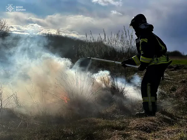 Суха трава, дровітня і будинок: на Волині боролися з пожежами (фото)
