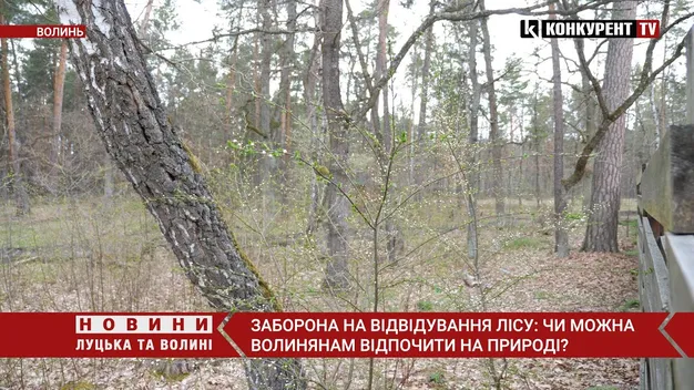 «Волинська Швейцарія»: чи можна зараз відпочивати у Воротневі (відео)