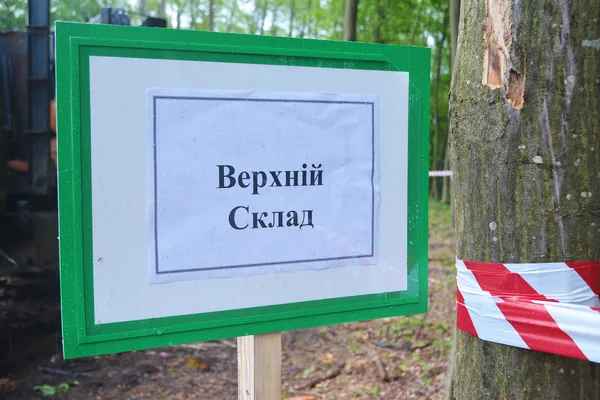 Від сучків до дубових заготовок: як на Волині «пиляють» ліс (ФОТОРЕПОРТАЖ)