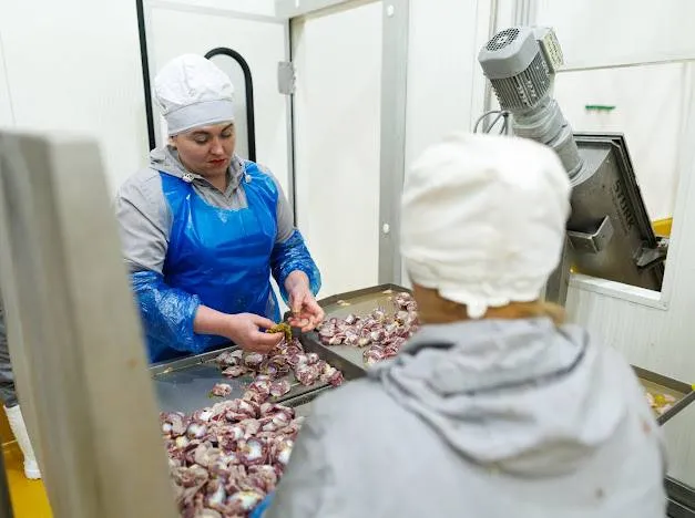 На Волині відкрили новий завод з перероблення курятини за 60 млн євро