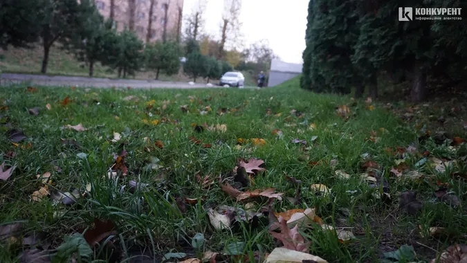 Пожовтіле листя та обважніле небо: який має вигляд осінь в одному з луцьких парків (фото)