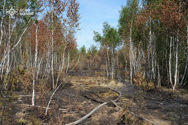 Понад 50 рятувальників та мотопомпи: за добу на Волині відвоювали у вогню понад 1,5 га палаючих торфовищ (фото)