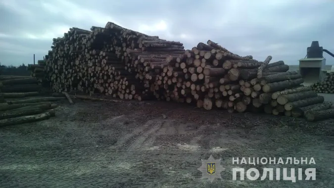 У селі на Волині поліція обшукує двори: шукають незаконну деревину (фото)