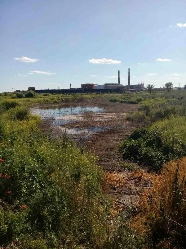 Сморід на Львівській: знайшли ще одну причину (фото) 