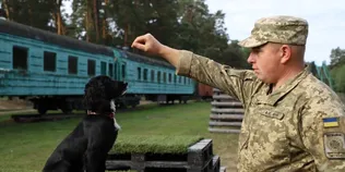 Пройшов гарячі точки, а тепер підкорює кінологію: історія прикордонника з Волині Богдана та Вулі (фото)