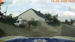 У Камені-Каширському п’яний водій тікав від поліції та врізався у паркан (відео)