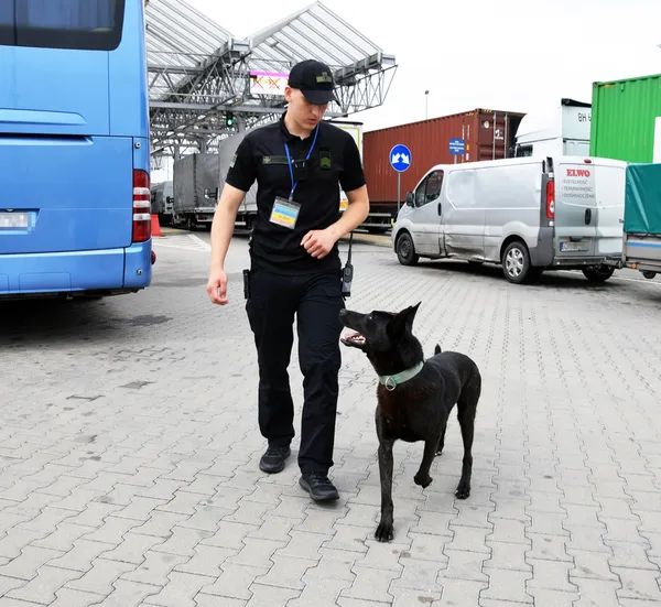Винюхує «наркоту»: на волинському кордоні служить чорний Марс (фото)