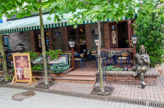 На обід з котом чи собакою: куди в Луцьку можна прийти з твариною