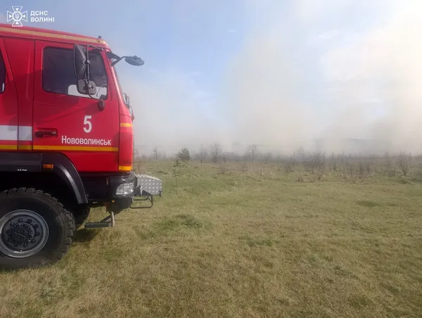 Палав очерет, торф і сміття: на Волині пожежі знищили 8 гектарів території