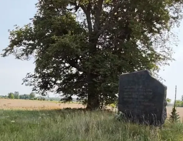 Посеред поля – хрест, а в лісі – кладовище: страшна історія зниклого села на Волині, яке стерли з карти (відео)