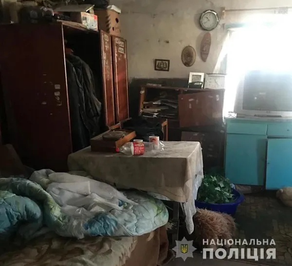 Худоба краще живе: хлопчика, якого шукали на Волині, забрали соцслужби (фото, відео)
