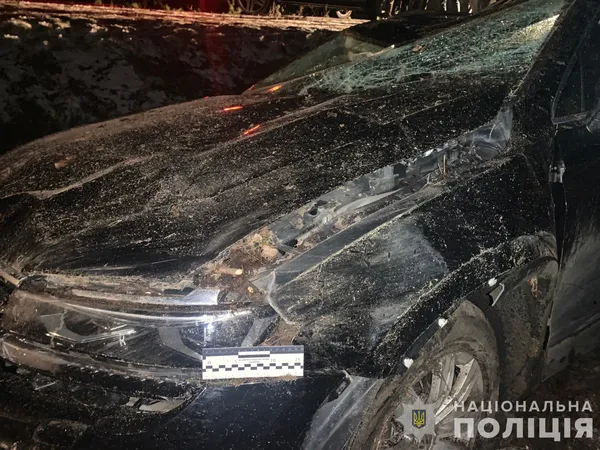 Авто злетіло у кювет: у ДТП на Волині постраждали чотири жінки (фото)