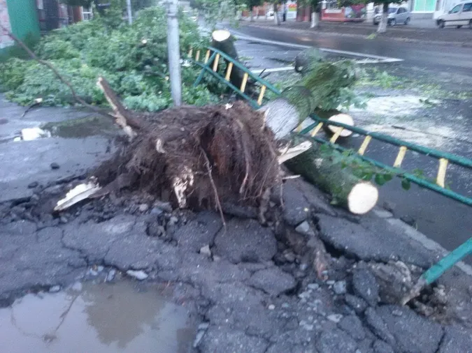 Через негоду комунальному підприємству Луцька просять дати гроші