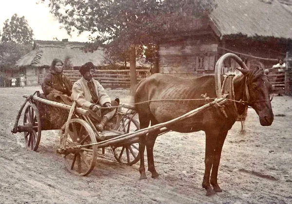 Подружжя із села Залізниця (зараз Волинська обл.), 1912 р.