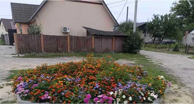 На Волині жінка перетворила смітник на клумбу з квітами