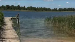 На Волині є прозоре озеро, де можна купатися голяка (відео)