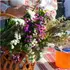 Що святять у церкві на Медовий Спас