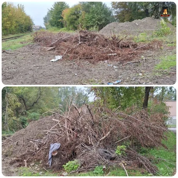 У Луцьку звалили гілля в недозволеному місці