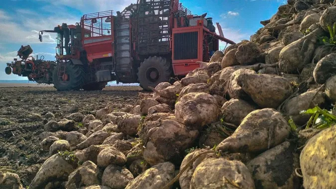 Фото: Суспільне