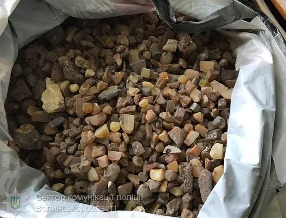 У Луцьку вилучили бурштину на півмільйона (фото)