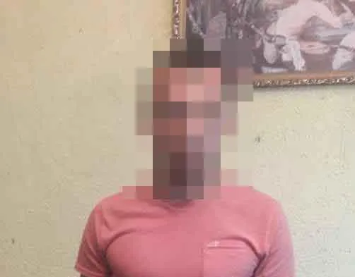 Зґвалтування у луцькому парку: нападника взяли під варту (фото, відео, оновлено)