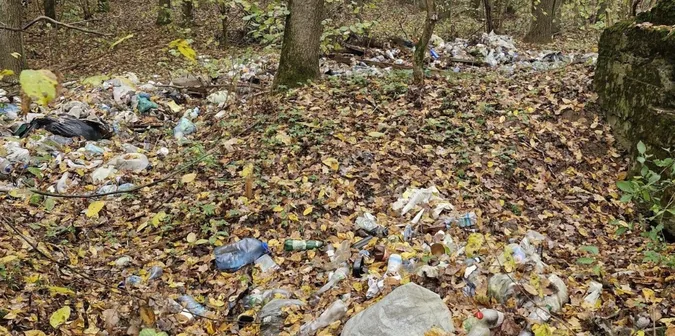 У Луцькому районі невідомі закидали сміттям історичну памʼятку (фото)