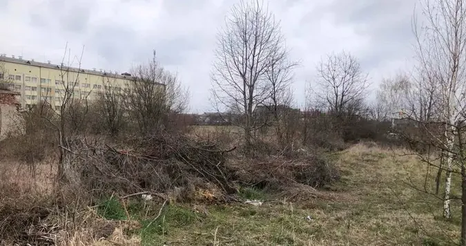 Покійників несуть через гори непотребу: селище на Волині потопає у смітті (фото)