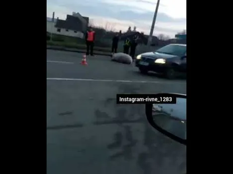 У Рівному з машини випав Мейсон: люди сперечалися, чия свиня (відео)