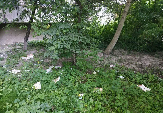 Лучанина покарали за сміття, яке той викидав із вікна (фото)