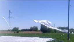 Замкнуло й «вирубило» світло: в Луцькому районі зірване вітром агроволокно занесло на лінію електропередачі