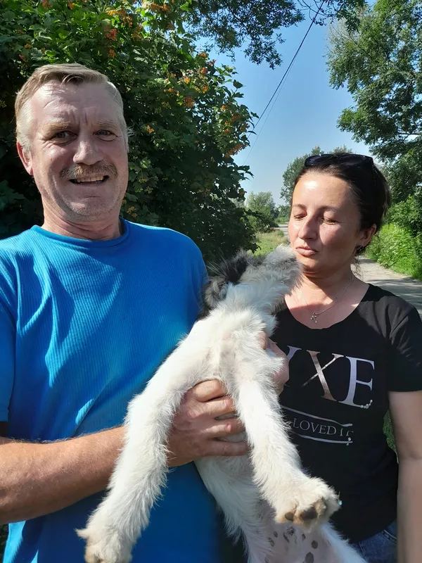 Шукали в Луцьку, а знайшли на Рівненщині: як маленький песик втрапив у халепу (фото)