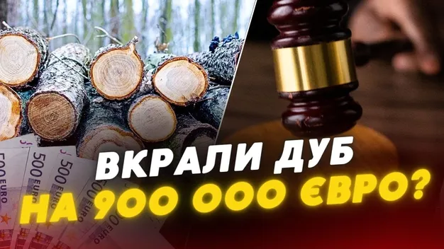 На Волині фірма відмовляється платити за деревину дуба майже мільйон євро (відео)