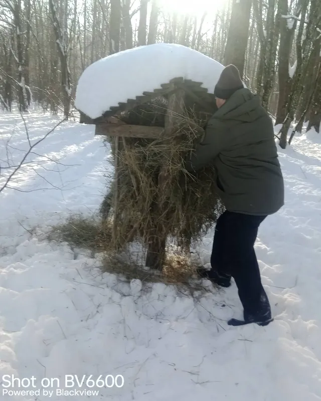 Як в нацпарку на Волині допомагають диким тваринам пережити сніжну зиму (фото)