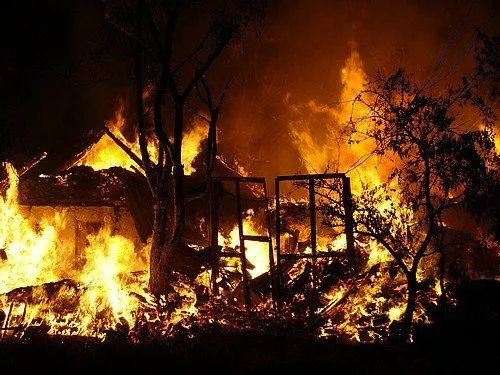 У селі на Волині у власному будинку згоріла літня жінка