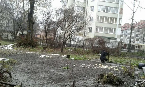 У Луцьку знесли  незаконні паркани на прибудинкових територіях (фото)