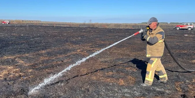 Масштабна пожежа на Волині: з вечора горить торфовище (фото)