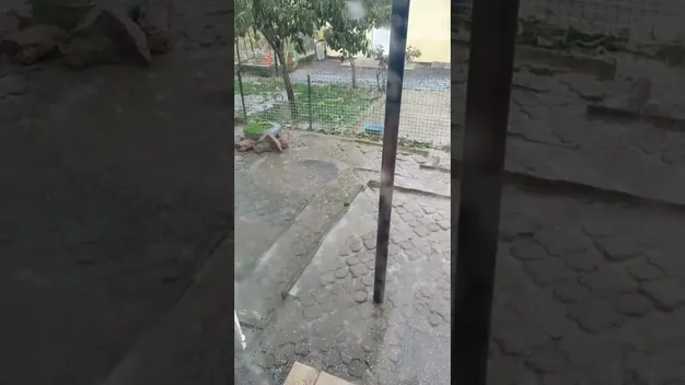 Град і злива: частину Луцька накрила негода (фото, відео)