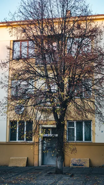Трохи сонця, кольорів і тепла: листопад на вулицях Луцька (фото)